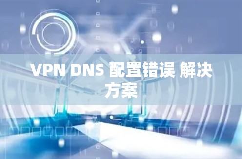 VPN DNS 配置错误 解决方案