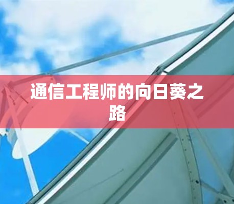 通信工程师的向日葵之路