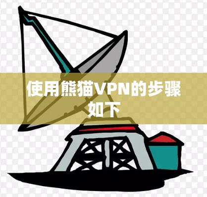 使用熊猫VPN的步骤如下