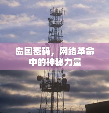 岛国密码，网络革命中的神秘力量