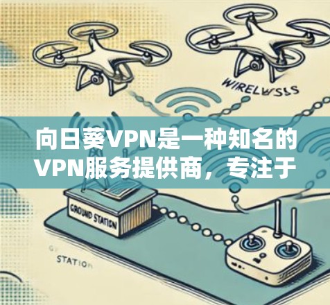 向日葵VPN是一种知名的VPN服务提供商，专注于提供家庭和企业级的VPN解决方案。如果你是在寻找向日葵VPN的相关信息，以下是一些关键点