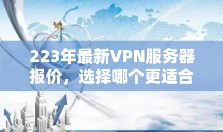 223年最新VPN服务器报价，选择哪个更适合你的需求？