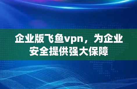 企业版飞鱼vpn，为企业安全提供强大保障