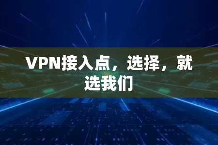 VPN接入点，选择，就选我们