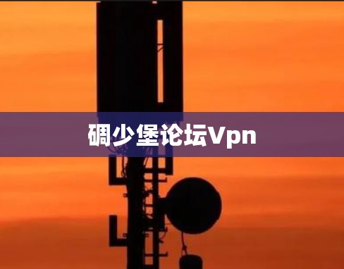 碉少堡论坛Vpn