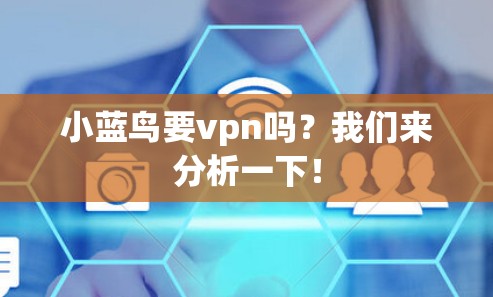 小蓝鸟要vpn吗？我们来分析一下！