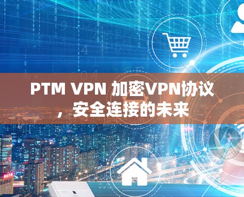 PTM VPN 加密VPN协议,安全连接的未来