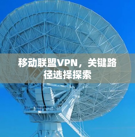 移动联盟VPN,关键路径选择探索