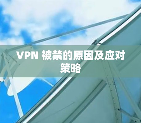 VPN 被禁的原因及应对策略