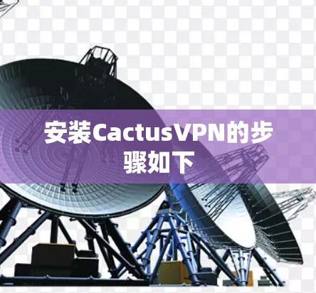安装CactusVPN的步骤如下