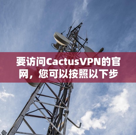 要访问CactusVPN的官网，您可以按照以下步骤操作