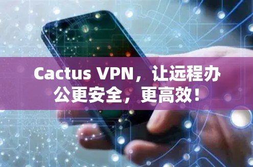 Cactus VPN，让远程办公更安全，更高效！