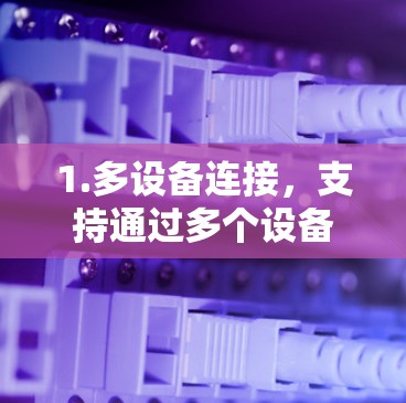 1.多设备连接,支持通过多个设备建立 VPN 网络,适用于需要同时访问多个设备的情况