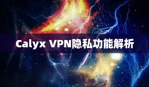 Calyx VPN隐私功能解析