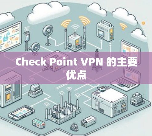 Check Point VPN 的主要优点