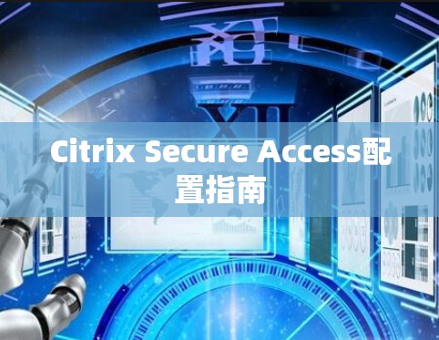 Citrix Secure Access配置指南