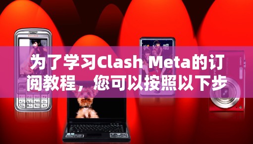 为了学习Clash Meta的订阅教程，您可以按照以下步骤进行