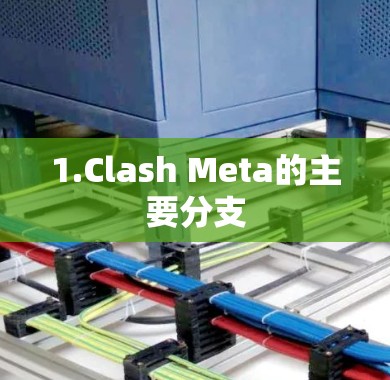 1.Clash Meta的主要分支