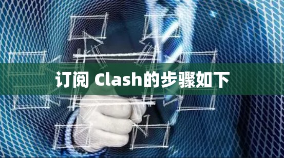 订阅 Clash的步骤如下