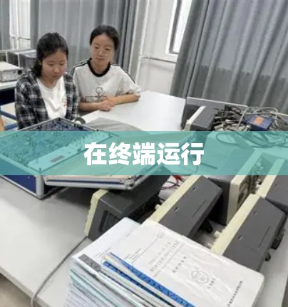 在终端运行