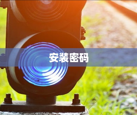 安装密码