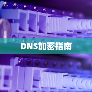 DNS加密指南