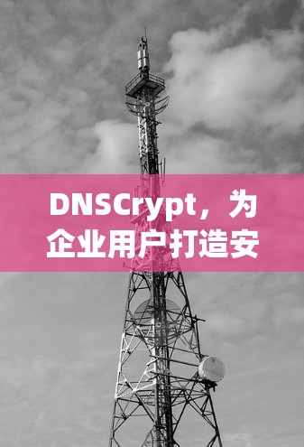 DNSCrypt,为企业用户打造安全可靠、多语言支持的高性能DNS解决方案