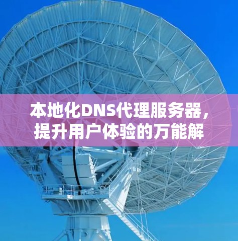 本地化DNS代理服务器,提升用户体验的万能解