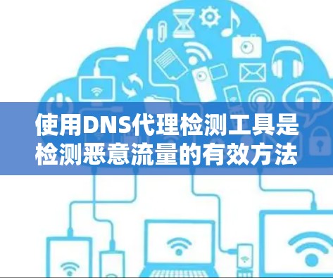 使用DNS代理检测工具是检测恶意流量的有效方法，但需谨慎操作以避免误操作。以下是一步步的指南