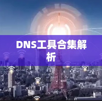 DNS工具合集解析