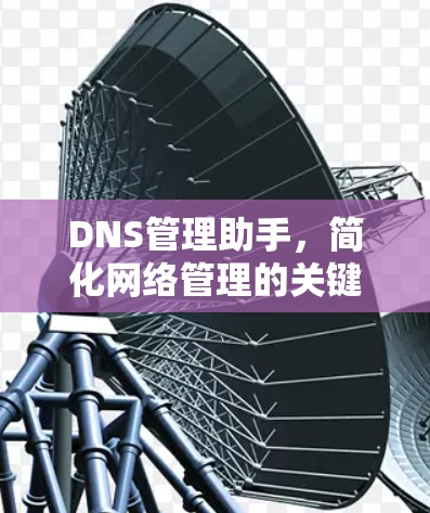 DNS管理助手,简化网络管理的关键工具