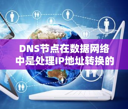 DNS节点在数据网络中是处理IP地址转换的关键组件,负责将IP地址映射到对应的域名。以下是DNS节点的详细解释