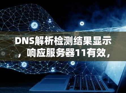 DNS解析检测结果显示，响应服务器11有效，请求状态为44错误，响应时间在.1秒内通过，数据包有效。然而，由于请求失败，DNS解析检测整体结果为失败