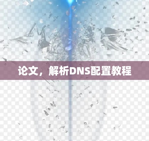 论文，解析DNS配置教程