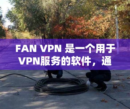 FAN VPN 是一个用于VPN服务的软件，通常支持iOS 和 Android。以下是使用 FAN VPN 下载和安装的步骤