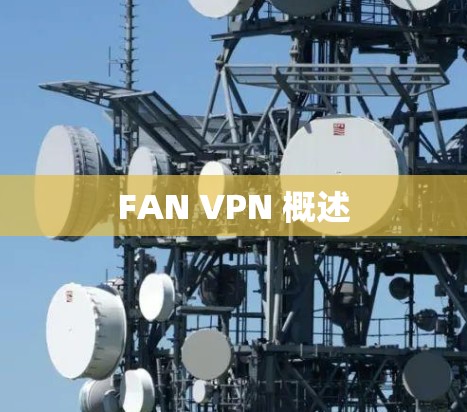 FAN VPN 概述