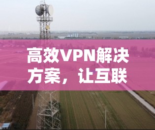 高效VPN解决方案,让互联网连接更简单