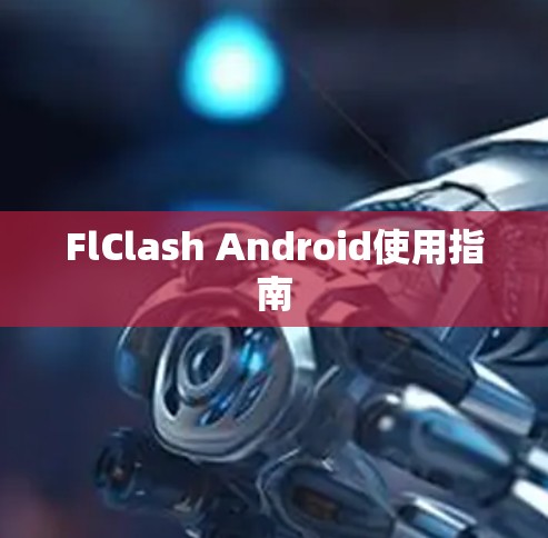 FlClash Android使用指南