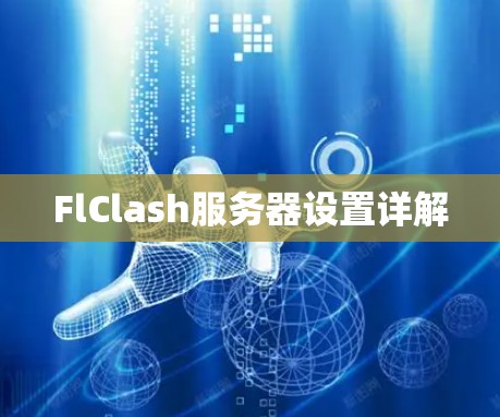 FlClash服务器设置详解