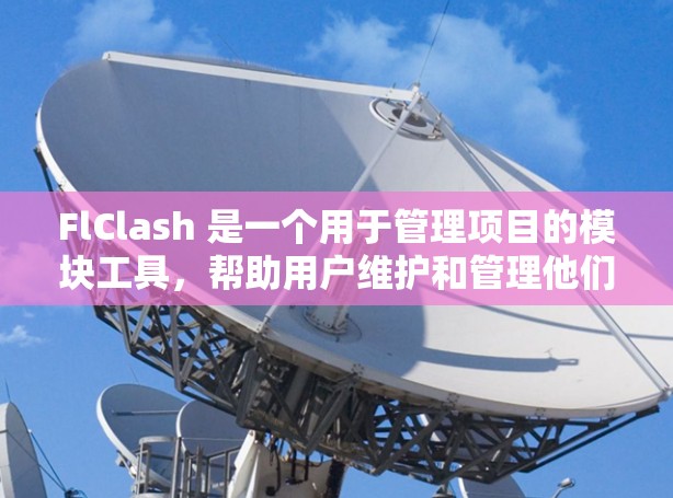 FlClash 是一个用于管理项目的模块工具，帮助用户维护和管理他们的项目、工具或库。以下是详细的使用指南，帮助你逐步掌握FlClash的功能和操作