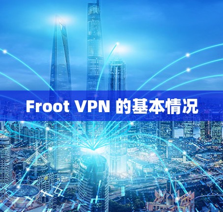 Froot VPN 的基本情况