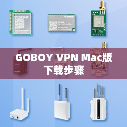 GOBOY VPN Mac版下载步骤