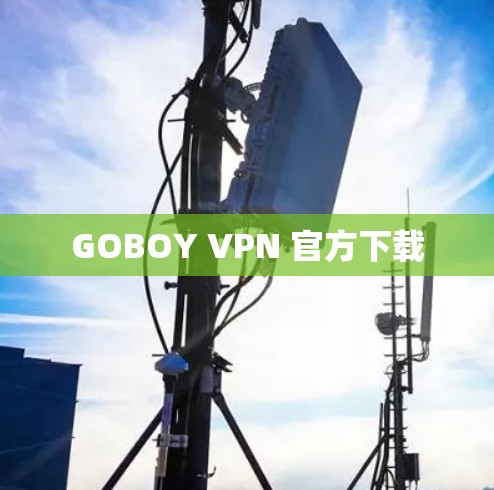 GOBOY VPN 官方下载