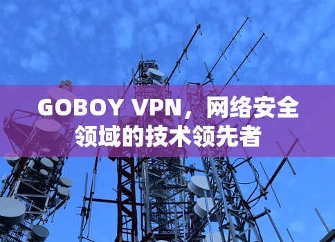 GOBOY VPN,网络安全领域的技术领先者