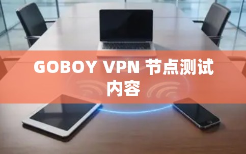 GOBOY VPN 节点测试内容