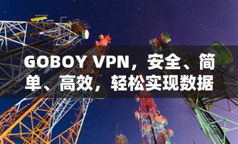 GOBOY VPN，安全、简单、高效，轻松实现数据加密