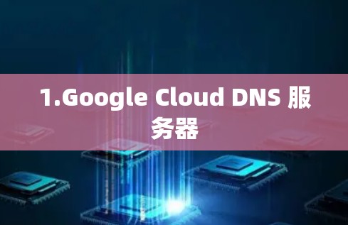 1.Google Cloud DNS 服务器