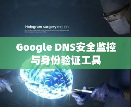 Google DNS安全监控与身份验证工具