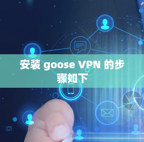 安装 goose VPN 的步骤如下