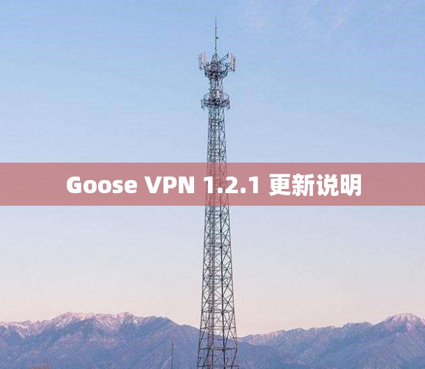 Goose VPN 1.2.1 更新说明